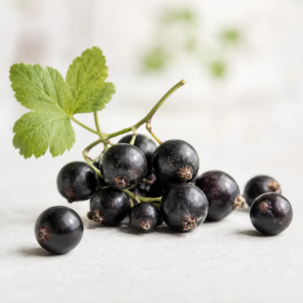Blackcurrants